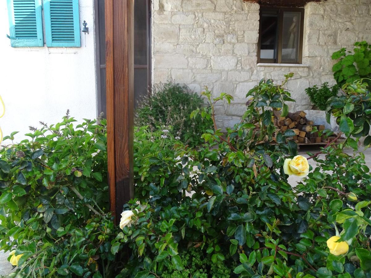 Kaizer Agrotourism Guest House Amargeti ภายนอก รูปภาพ