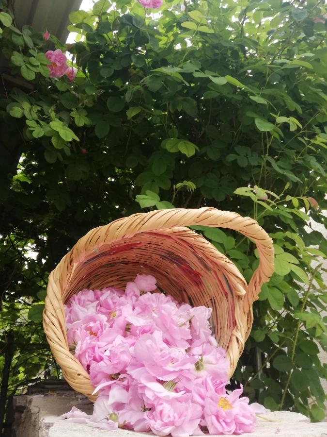Kaizer Agrotourism Guest House Amargeti ภายนอก รูปภาพ