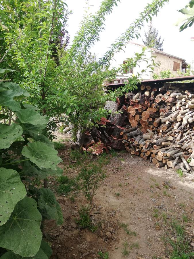 Kaizer Agrotourism Guest House Amargeti ภายนอก รูปภาพ