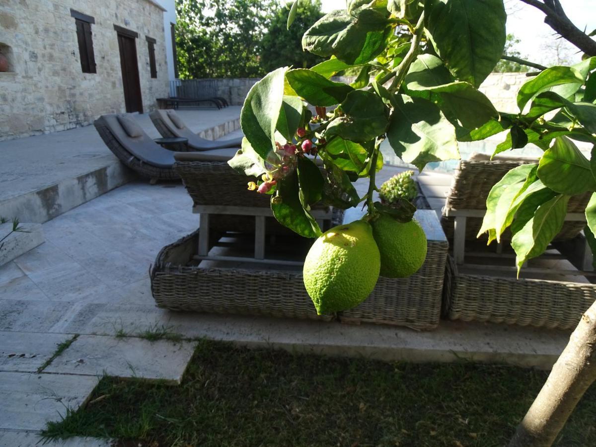 Kaizer Agrotourism Guest House Amargeti ภายนอก รูปภาพ